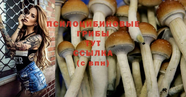 трава Лагань