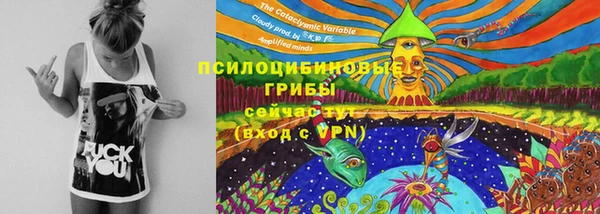 а пвп мука Ладушкин